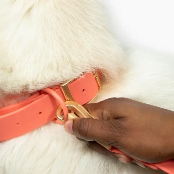 💛 Large Lucy & Co. Everyday PVC Collar in Coral - Picture 2 of 16